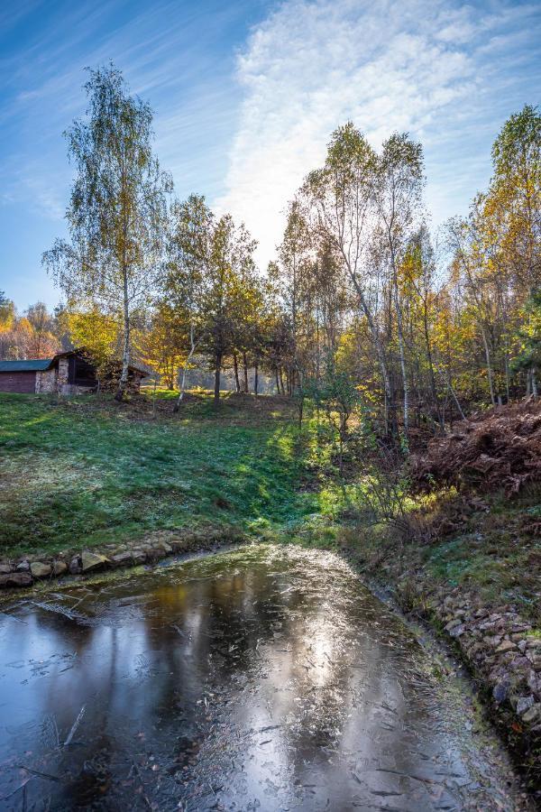 Siedlisko Zagorze * Nowa Huta